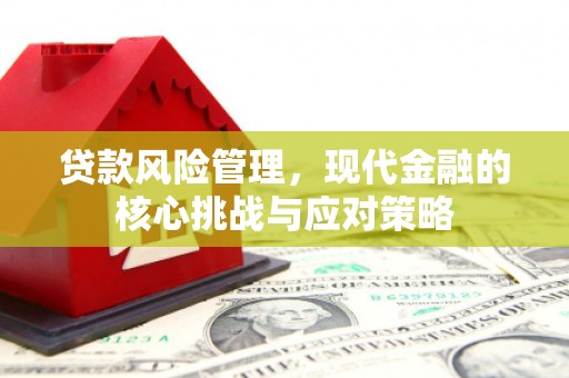 高明贷款风险管理，现代金融的核心挑战与应对策略