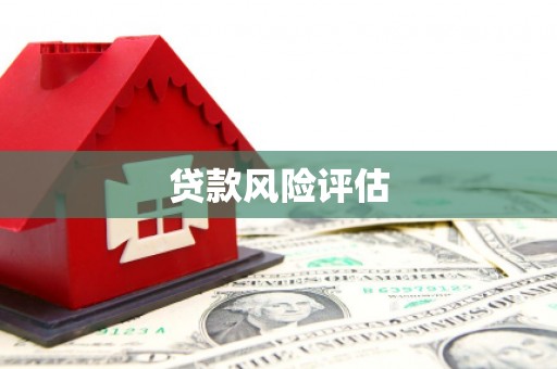 高明贷款风险评估