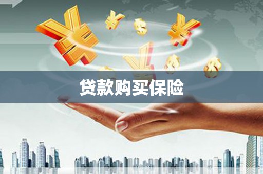 高明贷款购买保险