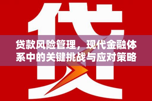 高明贷款风险管理，现代金融体系中的关键挑战与应对策略