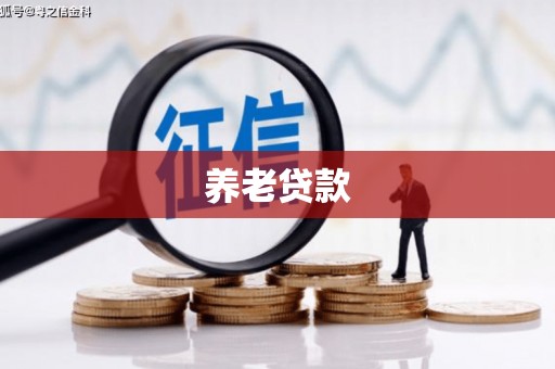 高明养老贷款
