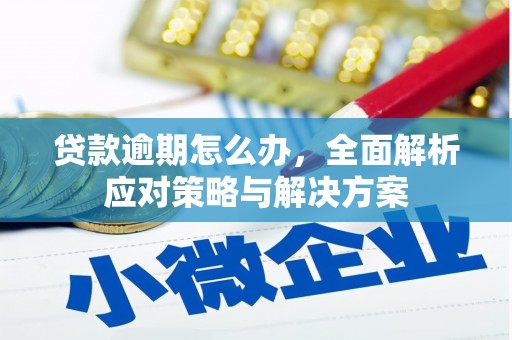 高明贷款逾期怎么办，全面解析应对策略与解决方案